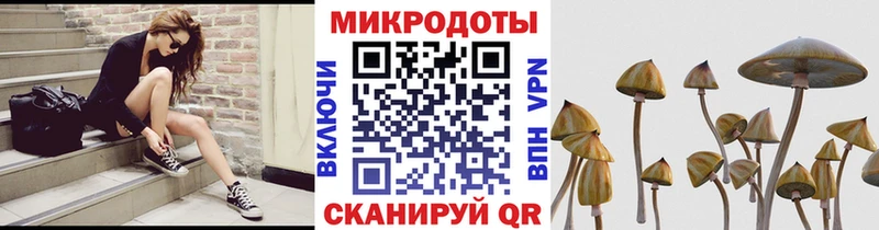 Псилоцибиновые грибы мицелий  blacksprut ТОР  Рязань  купить наркотики цена 